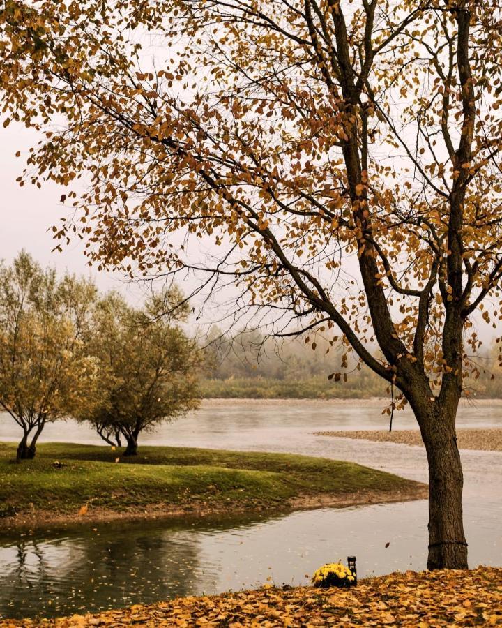 Drinska Laguna Banja Koviljača 外观 照片